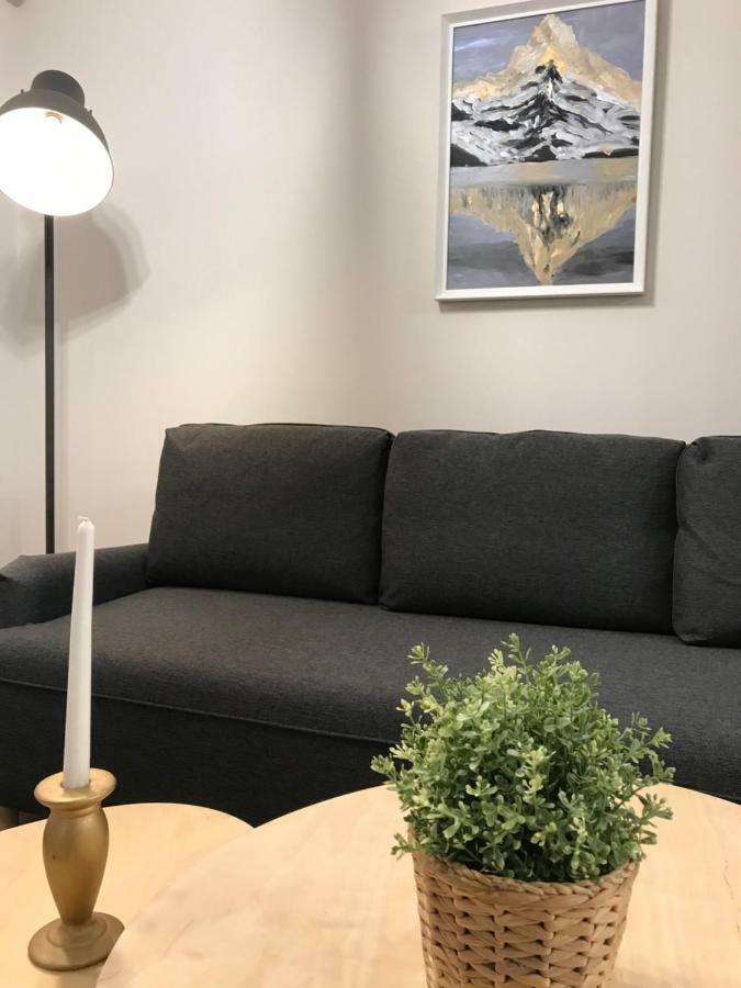 Apartament City Mall シビウ エクステリア 写真